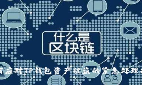 如何应对TP钱包资产被盗的紧急处理指南