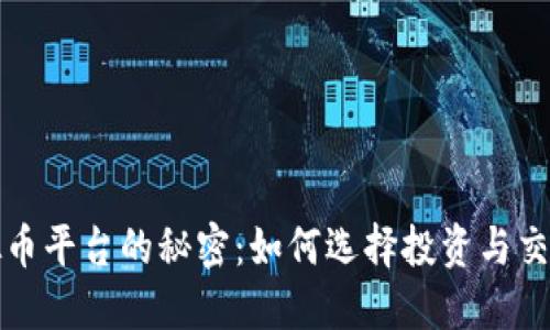 揭示数字虚拟币平台的秘密：如何选择投资与交易的最佳途径