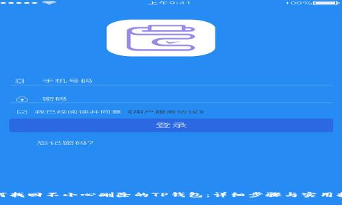 如何找回不小心删除的TP钱包：详细步骤与实用技巧