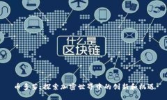 币多芬：探索加密世界中