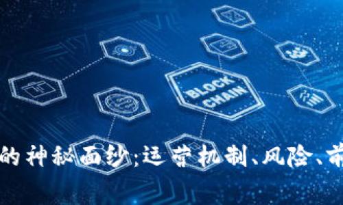 揭开虚拟货币的神秘面纱：运营机制、风险、前景与行业内幕