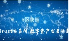 探索Trust交易所：数字资产