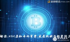 深入解读：XBC虚拟币的背