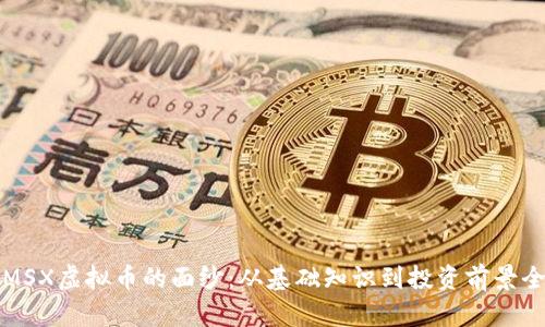 揭开MSX虚拟币的面纱：从基础知识到投资前景全解析