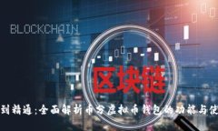 从入门到精通：全面解析