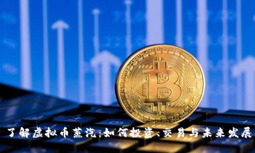了解虚拟币蒸汽：如何投资、交易与未来发展