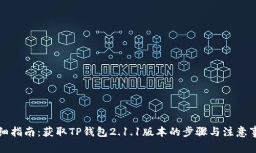 详细指南：获取TP钱包2.1.1版本的步骤与注意事项