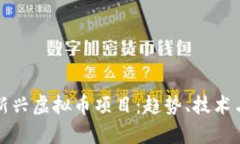 深入解析新兴虚拟币项目