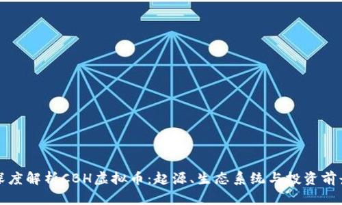 深度解析CBH虚拟币：起源、生态系统与投资前景