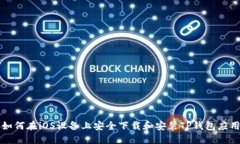 如何在iOS设备上安全下载