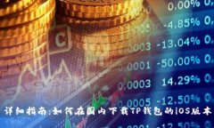 详细指南：如何在国内下