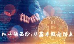 揭开虚拟币的面纱：从基