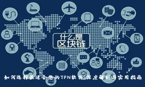 如何选择最适合您的TPN软件：深度解析与实用指南