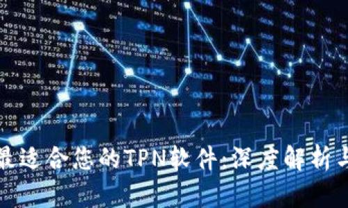 如何选择最适合您的TPN软件：深度解析与实用指南