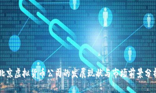 北京虚拟货币公司的发展现状与市场前景分析