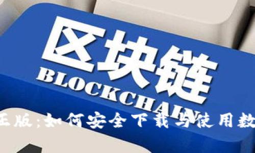 TP钱包App官网正版：如何安全下载与使用数字资产管理工具