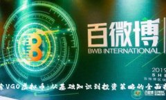 探索VGO虚拟币：从基础知