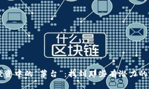 虚拟币投资中的“茅台”：找到那些有潜力的数字资产