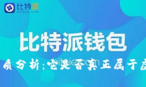 Pi币的本质分析：它是否真正属于虚拟货币？
