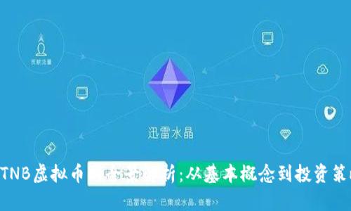 MTNB虚拟币的全景解析：从基本概念到投资策略