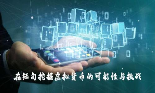 在缅甸挖掘虚拟货币的可能性与挑战