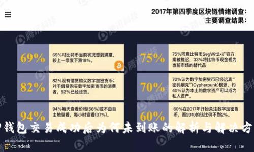 TP钱包交易成功后为何未到账的解析与解决方案