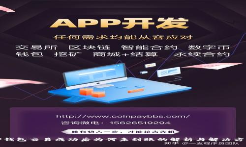 TP钱包交易成功后为何未到账的解析与解决方案