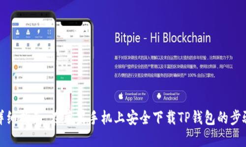详细指南：在苹果手机上安全下载TP钱包的步骤