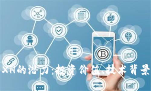 探索虚拟币XH的潜力：投资价值、技术背景与市场动态