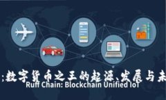 比特币：数字货币之王的