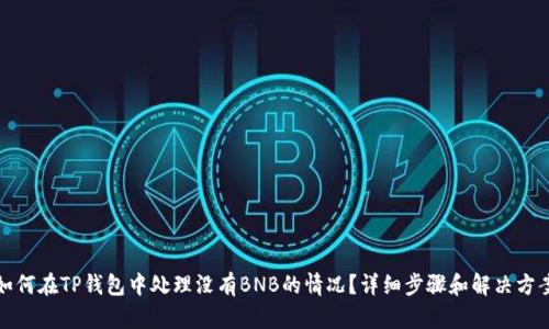 如何在TP钱包中处理没有BNB的情况？详细步骤和解决方案