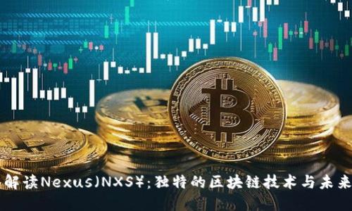深入解读Nexus（NXS）：独特的区块链技术与未来展望