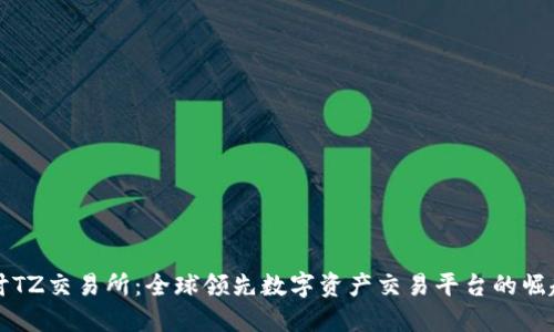 深入探讨TZ交易所：全球领先数字资产交易平台的崛起与发展