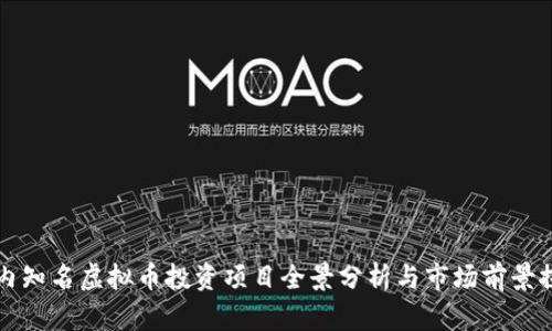 国内知名虚拟币投资项目全景分析与市场前景探讨