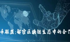 虚拟货币联盟：解密区块