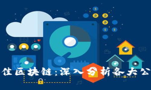 选择TP钱包的最佳区块链：深入分析各大公链的优势与劣势