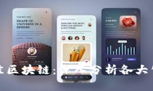 选择TP钱包的最佳区块链：深入分析各大公链的优势与劣势