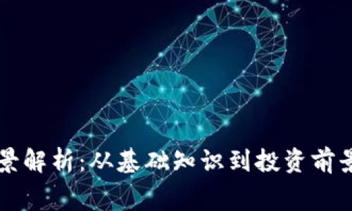 赛格币的全景解析：从基础知识到投资前景的全面指南