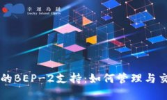 深度解析TP钱包的BEP-2支持