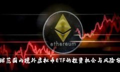 全球范围内境外虚拟币E
