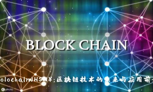 Holochain（HSN）：区块链技术的未来与应用前景