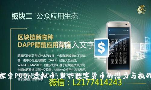 探索POOH虚拟币：新兴数字货币的潜力与挑战