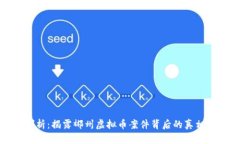 深入剖析：揭露郴州虚拟