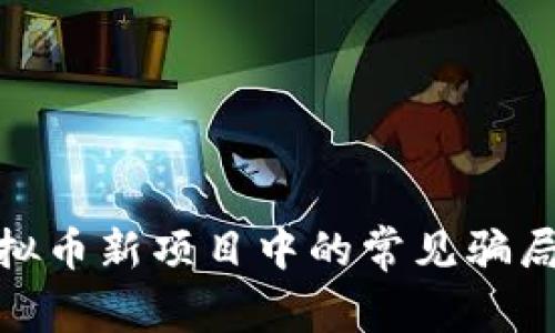 如何识别虚拟币新项目中的常见骗局及防范措施