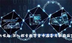 尼泊尔虚拟币的崛起：深