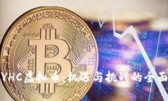 探索YHC虚拟币：机遇与挑