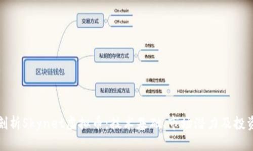深入剖析Skynet虚拟币：技术基础、市场潜力及投资策略
