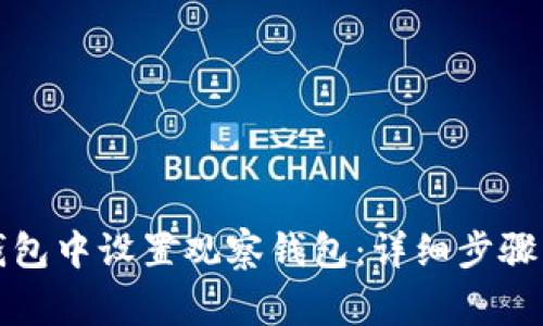 如何在TP钱包中设置观察钱包：详细步骤与注意事项