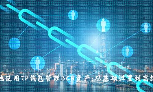 如何安全地使用TP钱包管理BCH资产：从基础设置到高级交易技巧