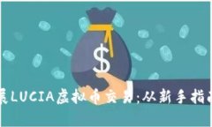 如何高效开展LUCIA虚拟币交